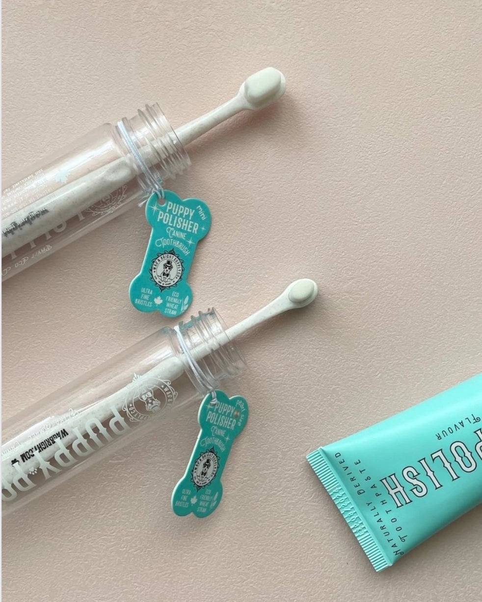 Eco Toothbrush | Large Dogs