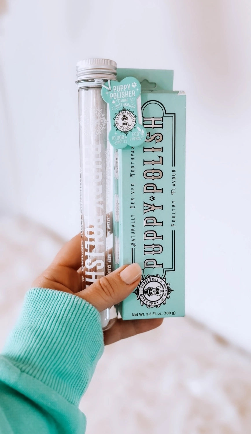 Eco Toothbrush | Large Dogs