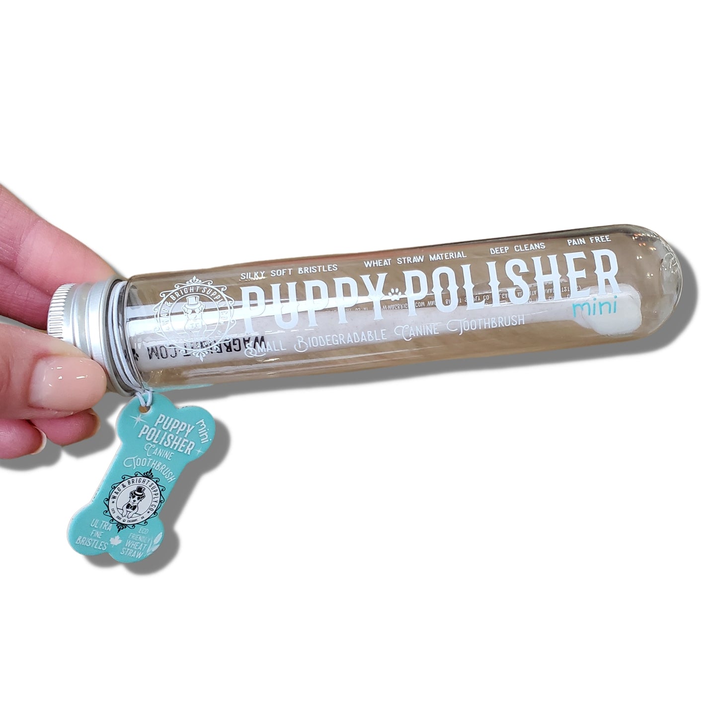Eco Toothbrush | Small/Medium Dogs