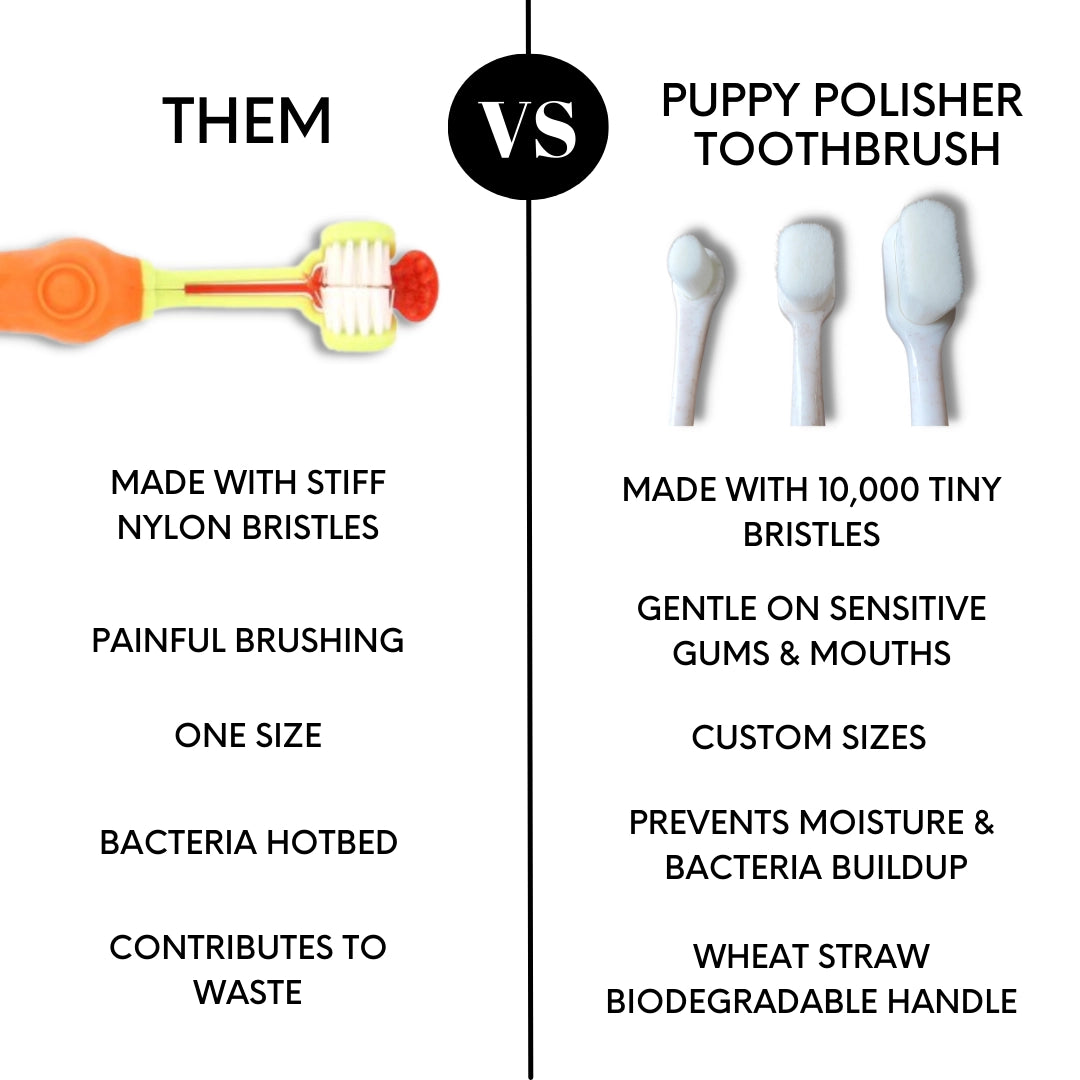 Eco Toothbrush | XS Dogs/Cats