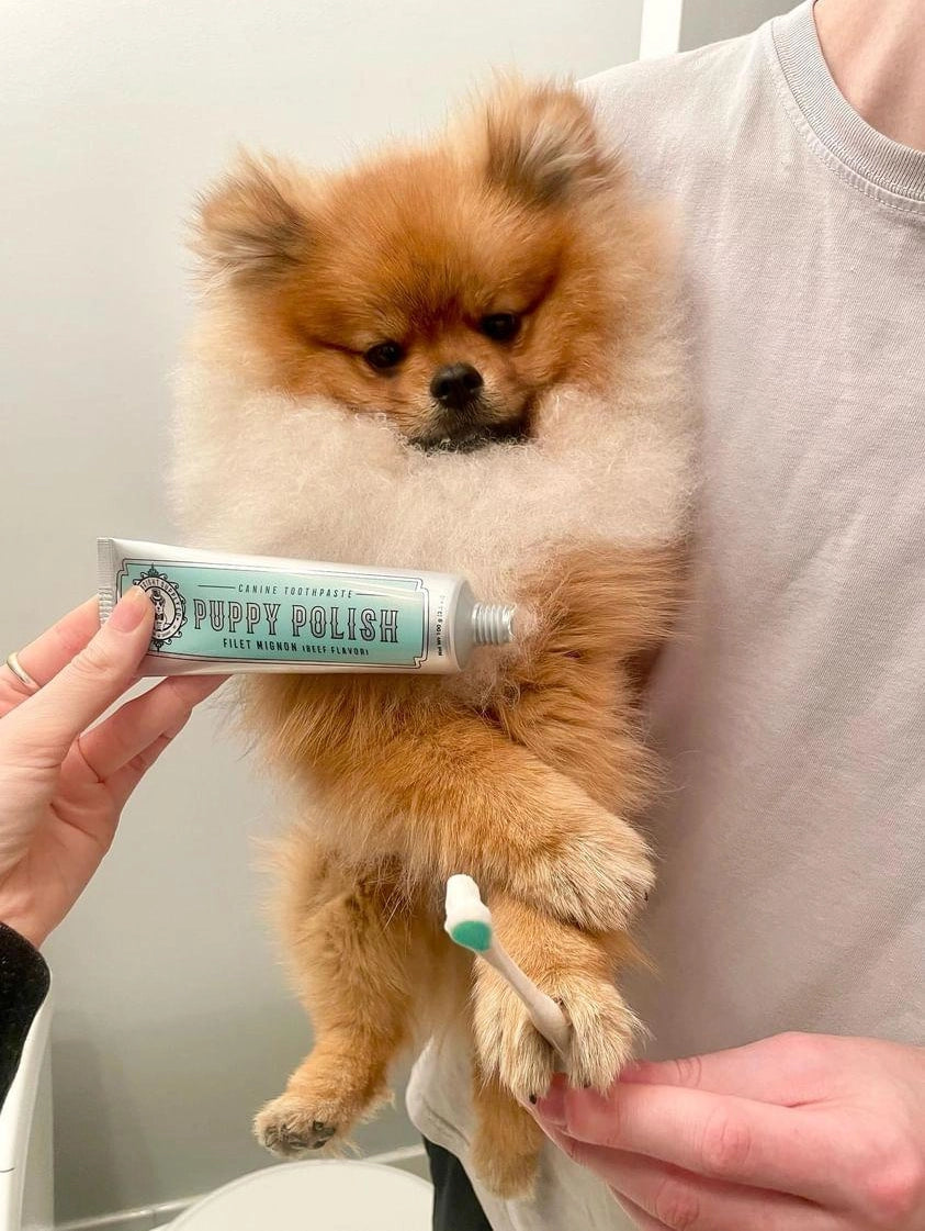 Puppy Polish | Filet Mignon