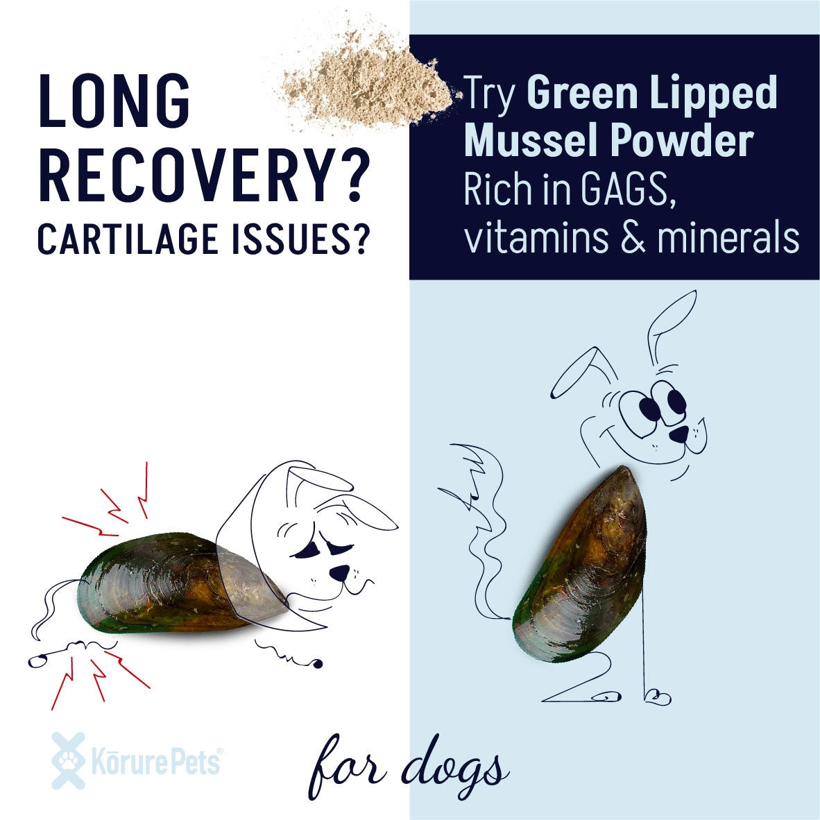 Green Lipped Mussel Powder