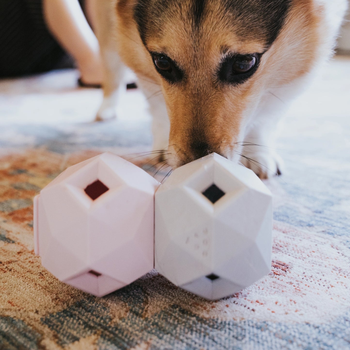 Odin Enrichment Toy | Green