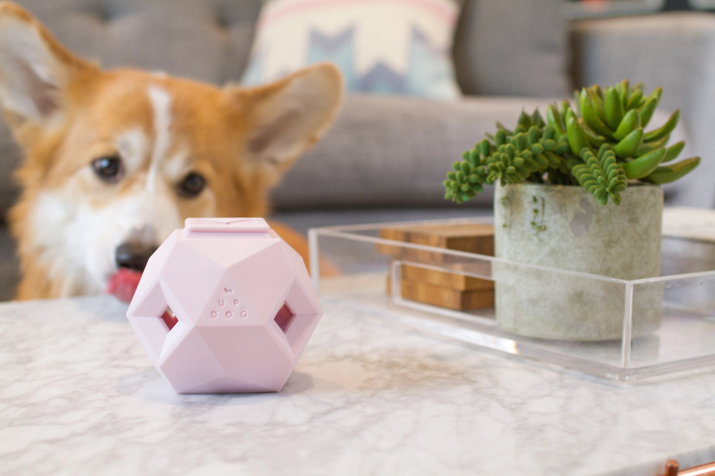 Odin Enrichment Toy | Green