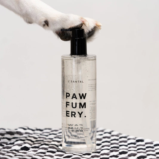 L’Santal Scented Wash