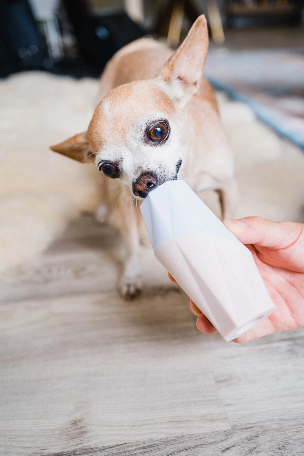 Ubbe Enrichment Toy