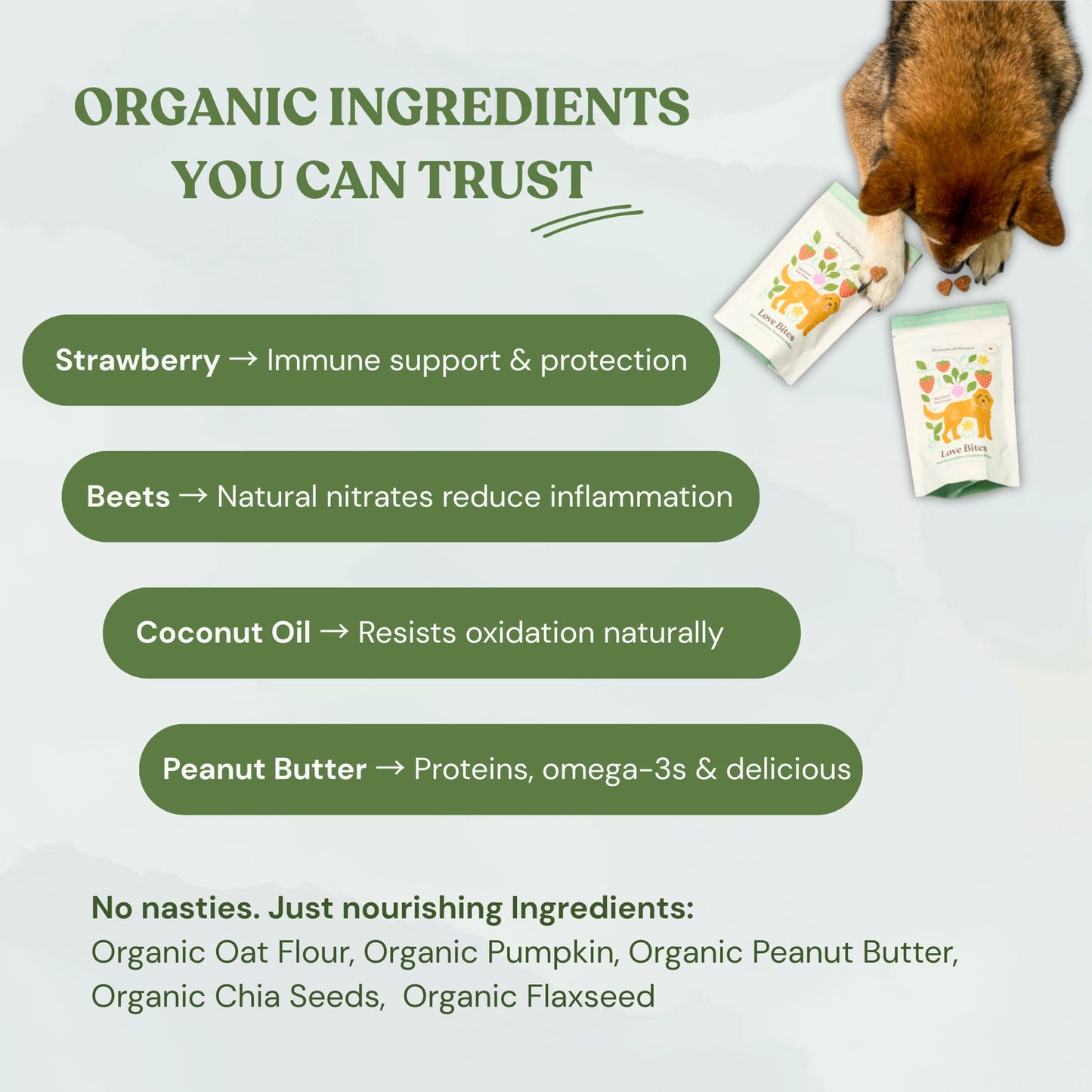 Wellness Treats | Love Bites
