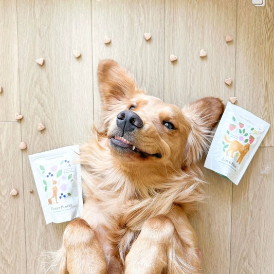 Wellness Treats | Love Bites