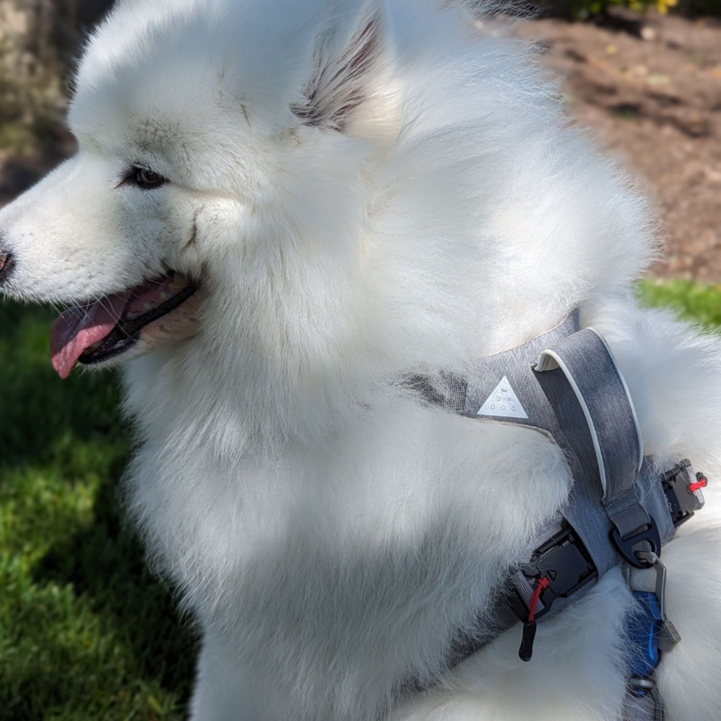Magnetic Harness | Large