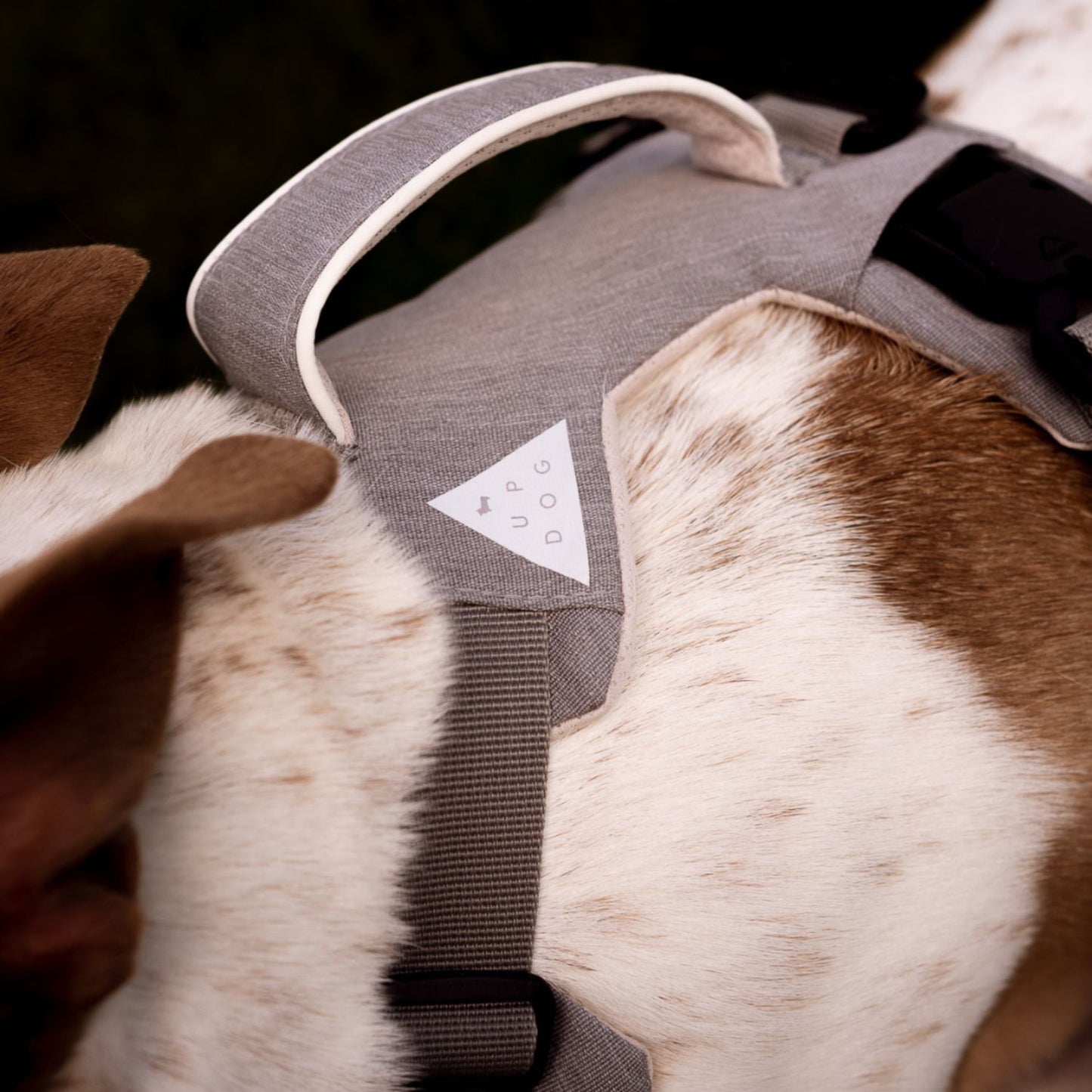 Magnetic Harness | Large
