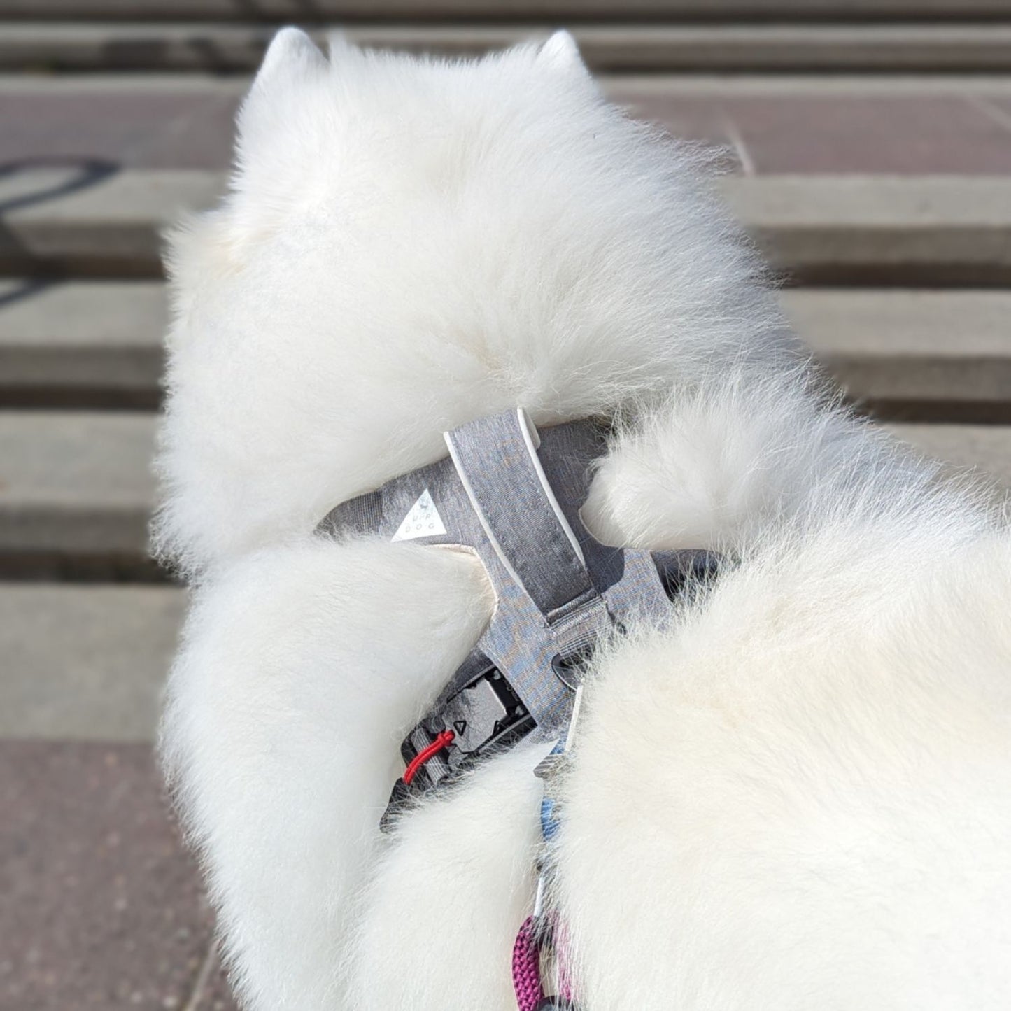 Magnetic Harness | Large