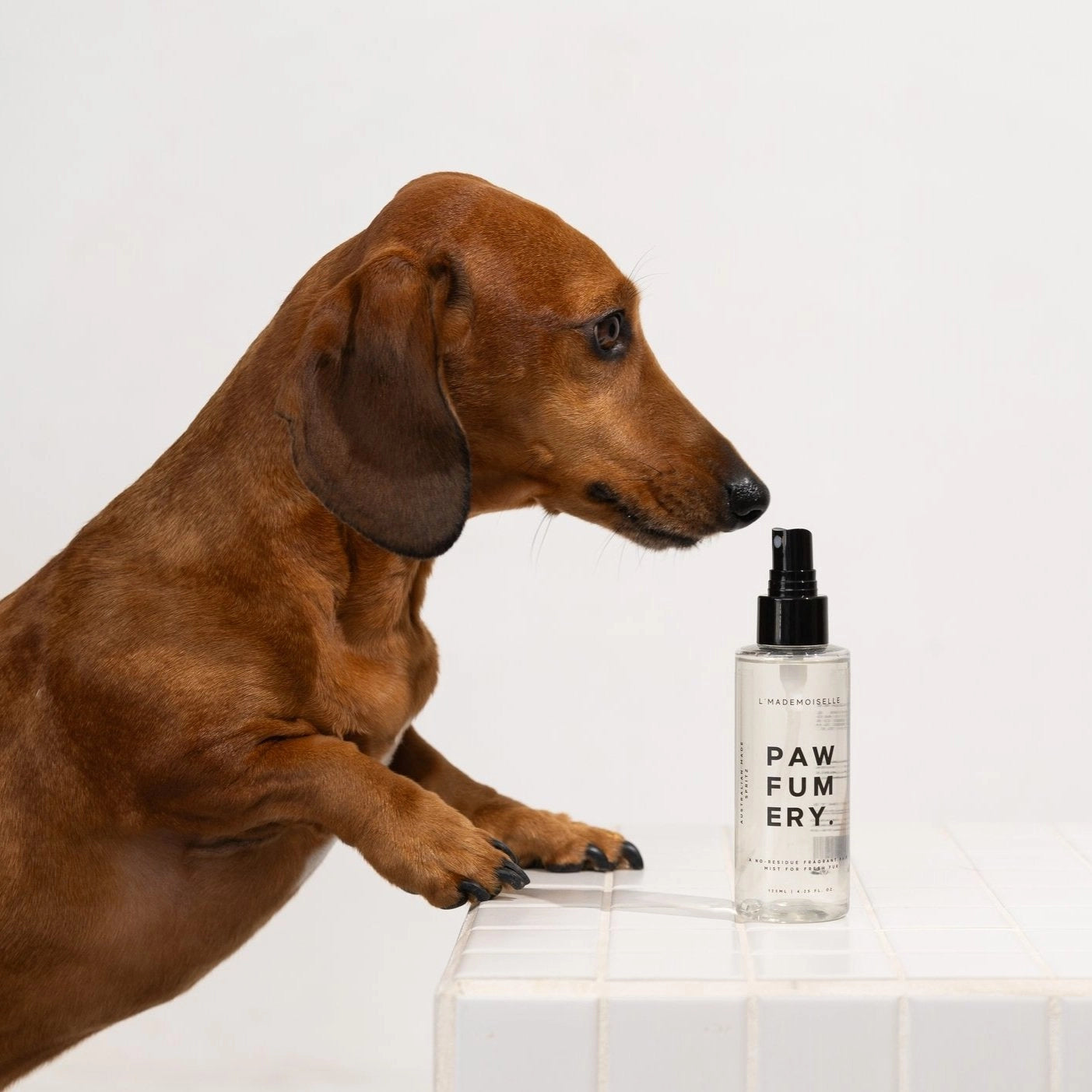 L’Mademoiselle Pawfum Spray