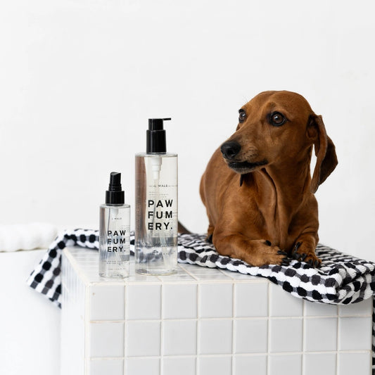 L’Male Scented Wash