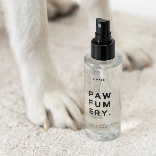 L’Male Pawfum Spray