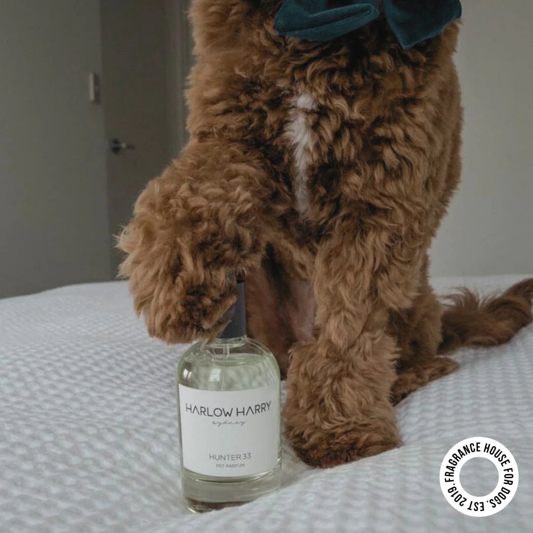 Perfume | Hunter 33 (50ml)