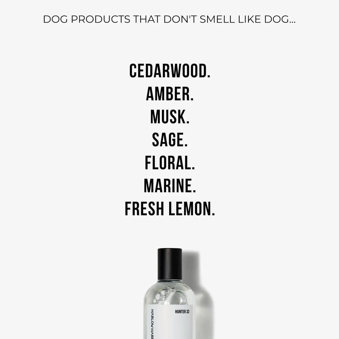 Perfume | Hunter 33 (50ml)