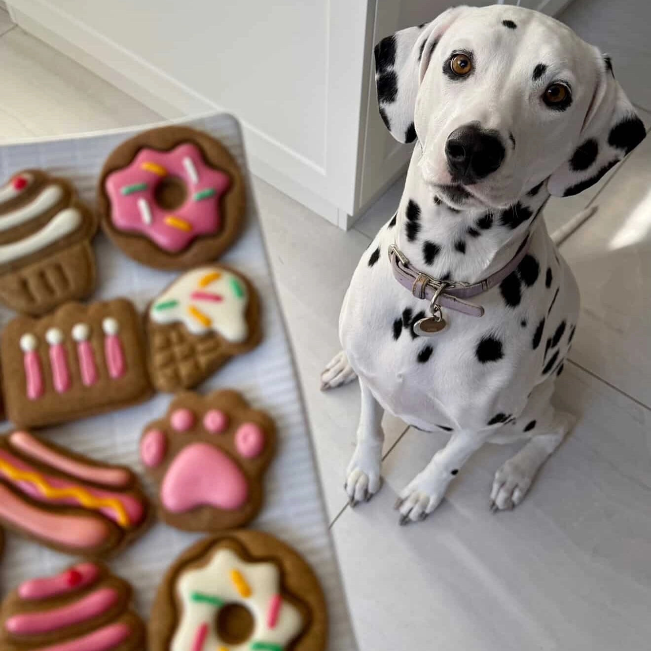 Treats Box | Celebration - Pink