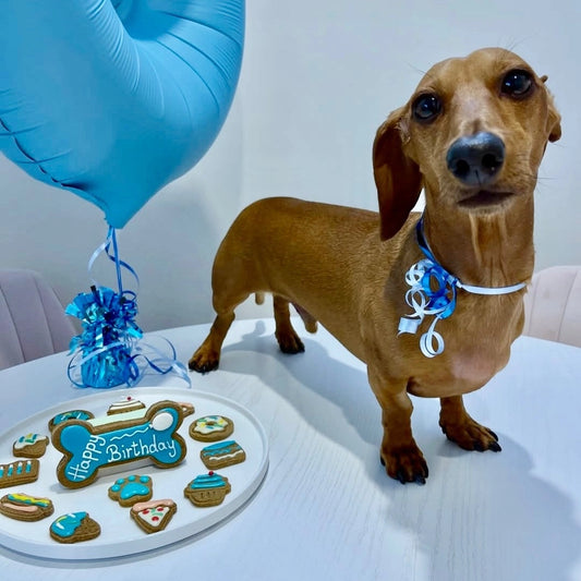 Treats Box | Celebration - Blue