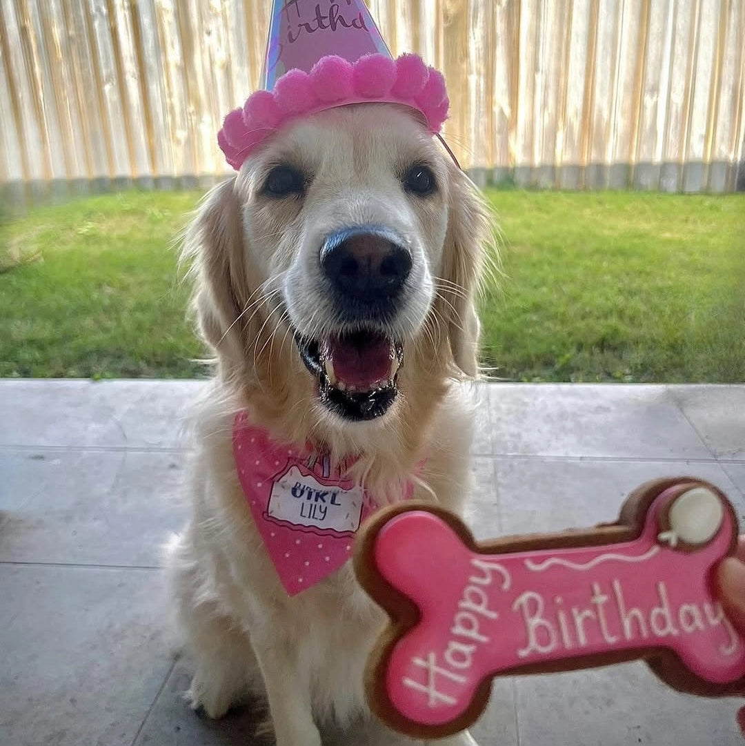 Treats Box | Birthday Bone - Pink