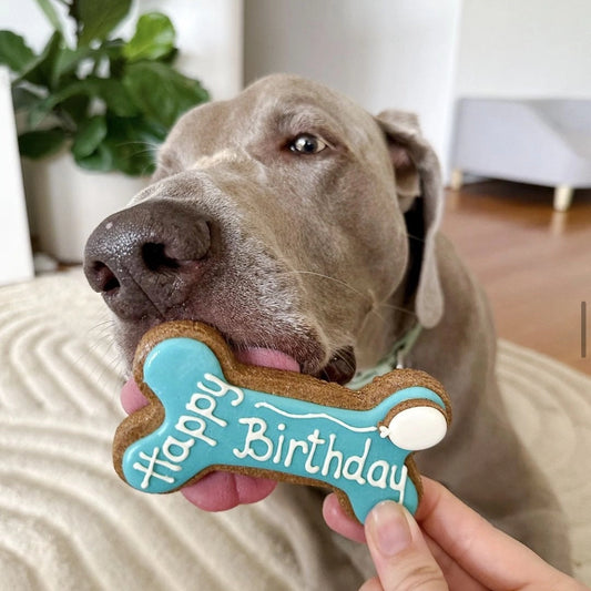 Treats Box | Birthday Bone - Blue