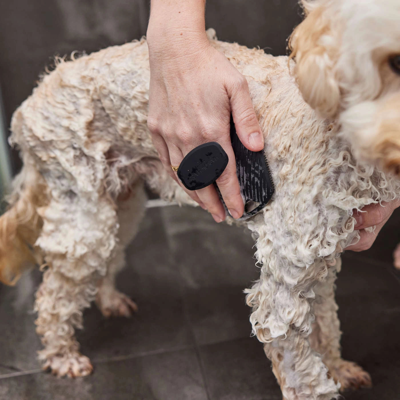 Luxe Lather Bathing Brush