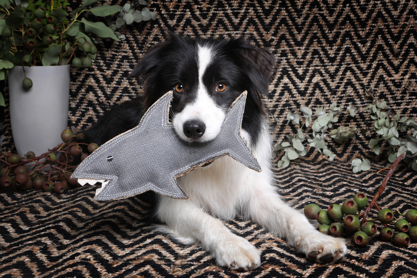 Jute Toy | Shark