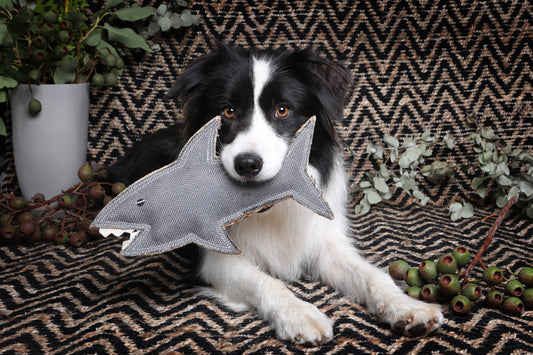Jute Toy | Shark