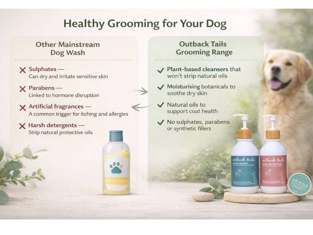 Paw & Skin Repair