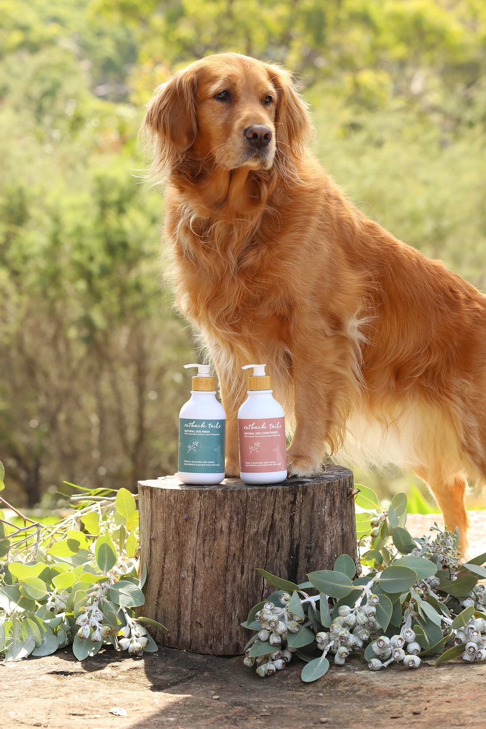 Natural Conditioner