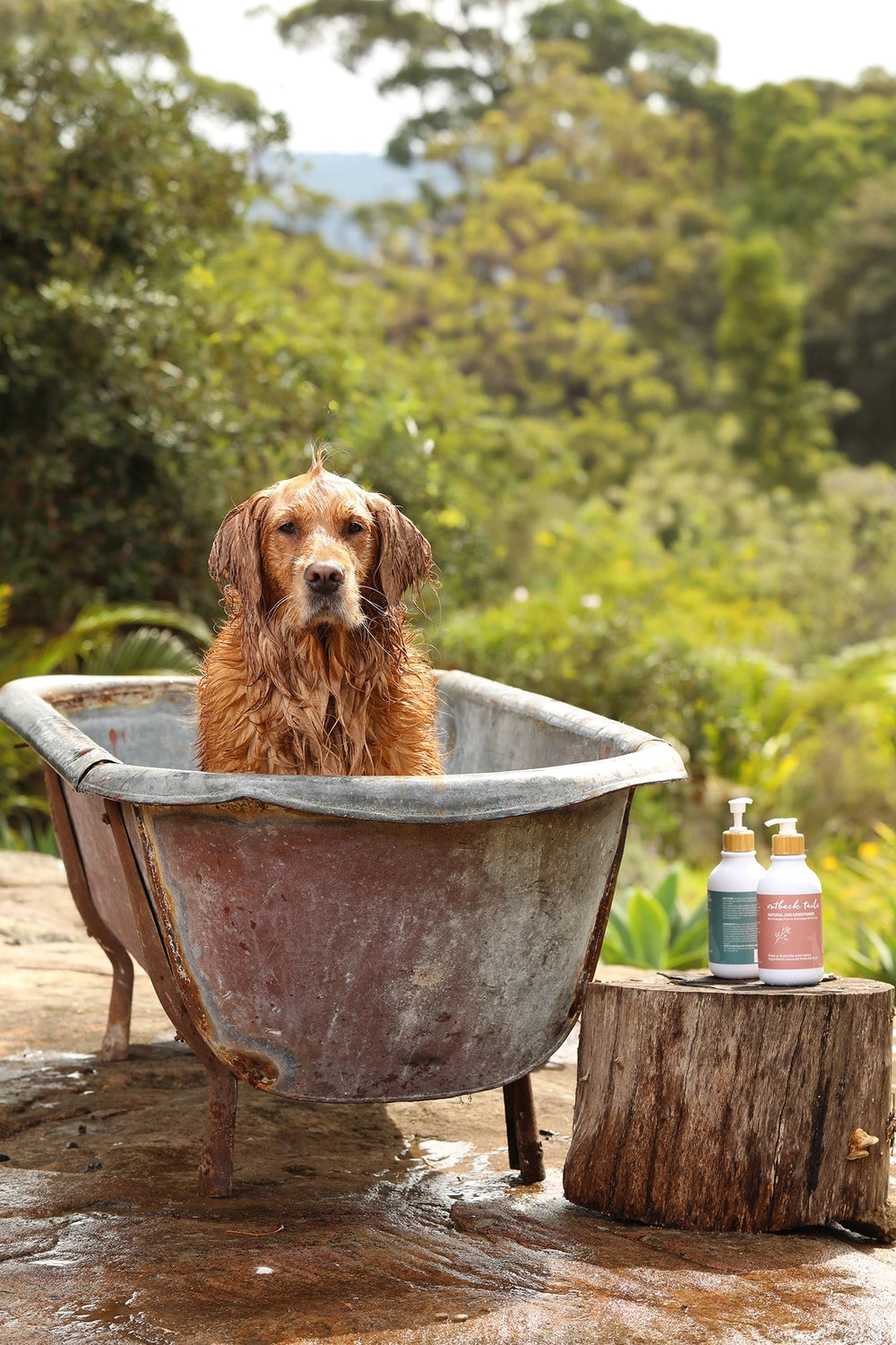 Natural Conditioner