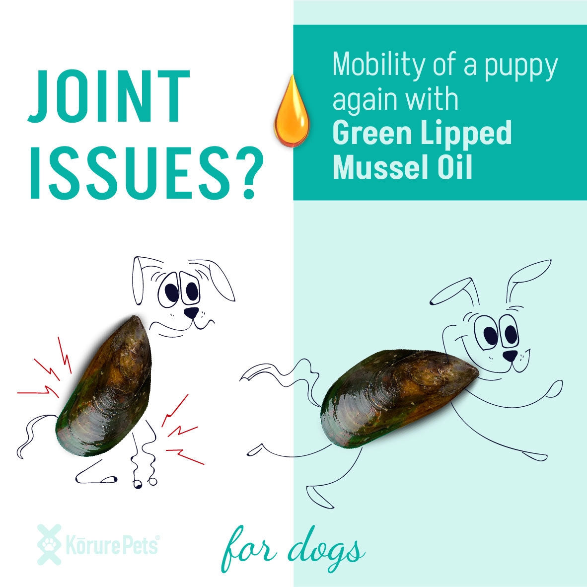 Green Lipped Mussel Oil