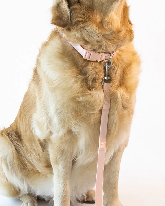 Weatherproof Collar | Pink