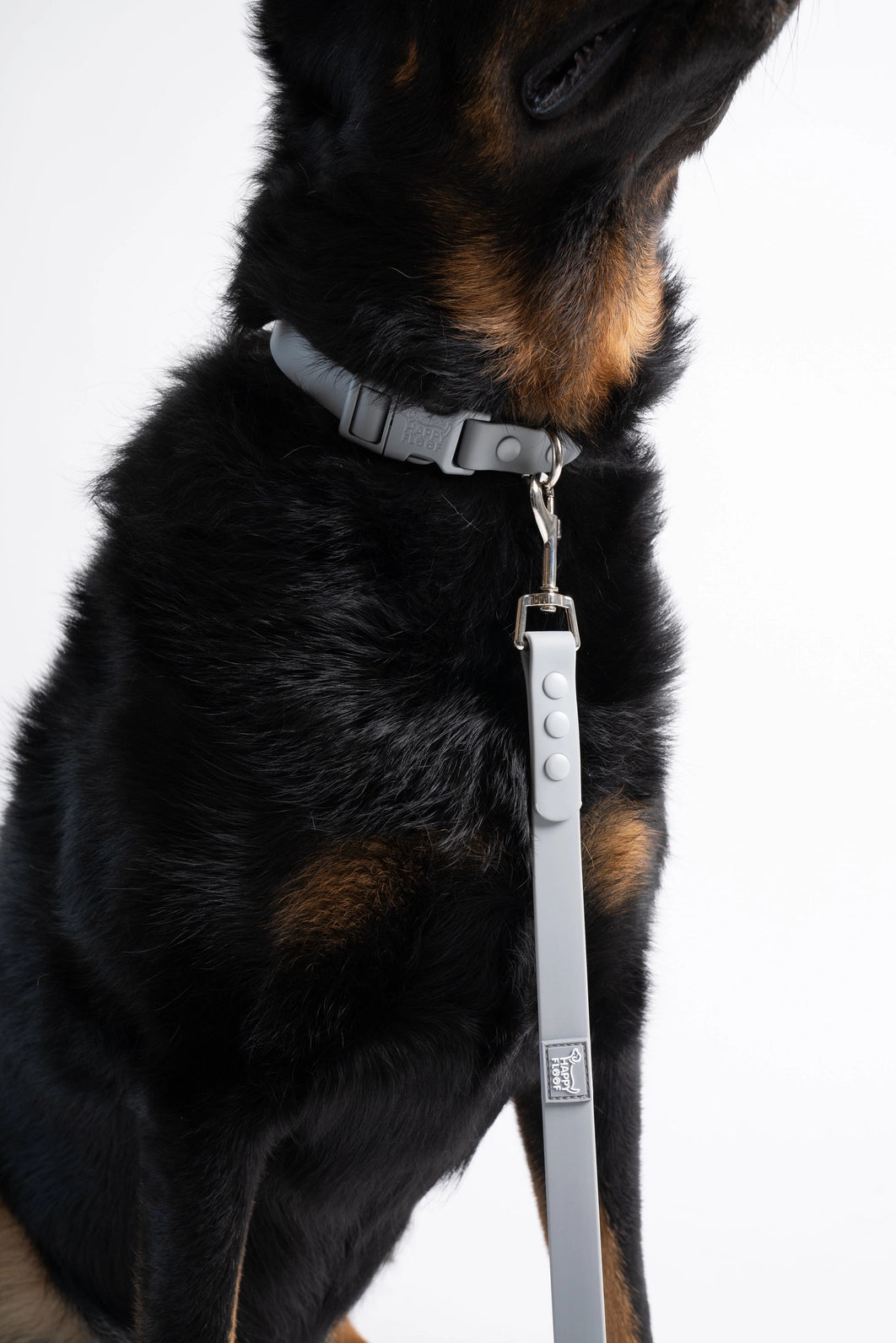 Weatherproof Leash | Grey