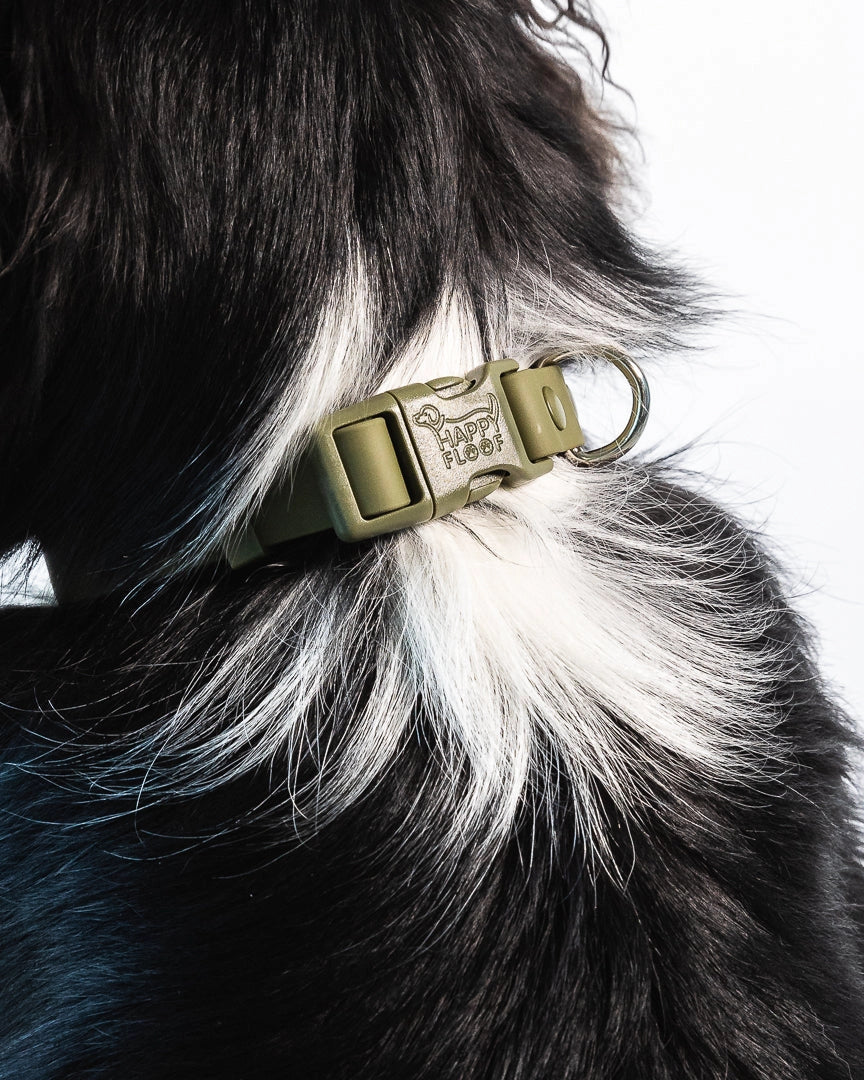 Weatherproof Collar | Green