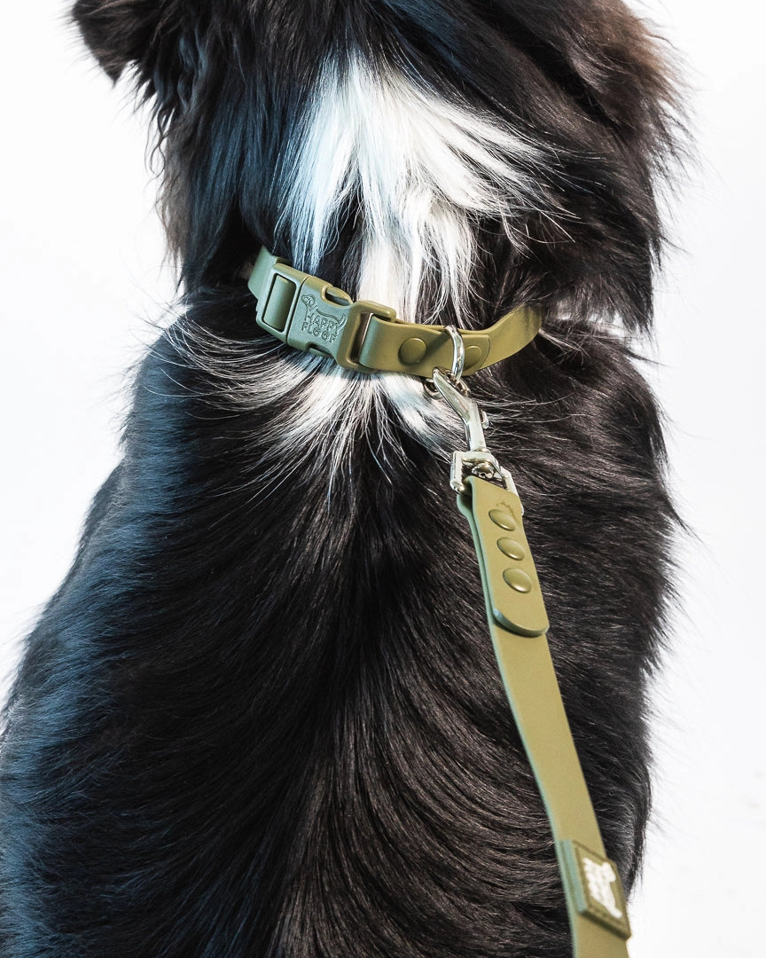 Weatherproof Collar | Green