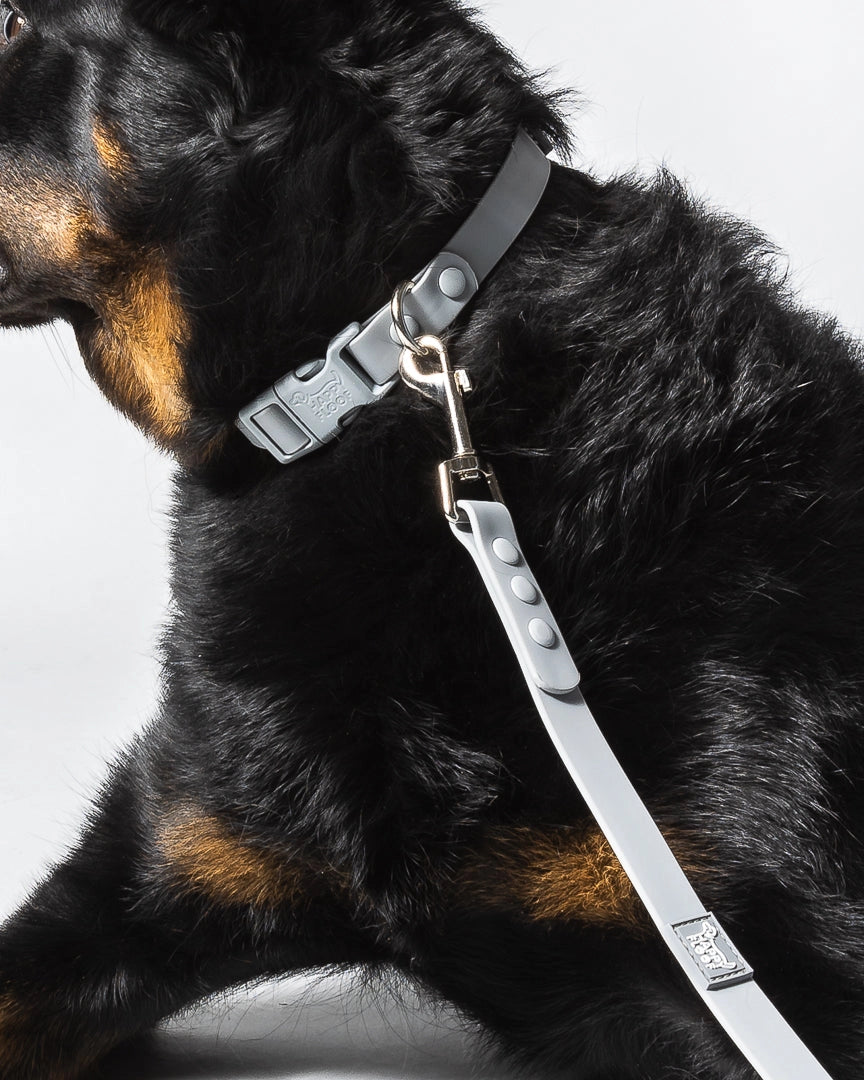 Weatherproof Collar | Grey