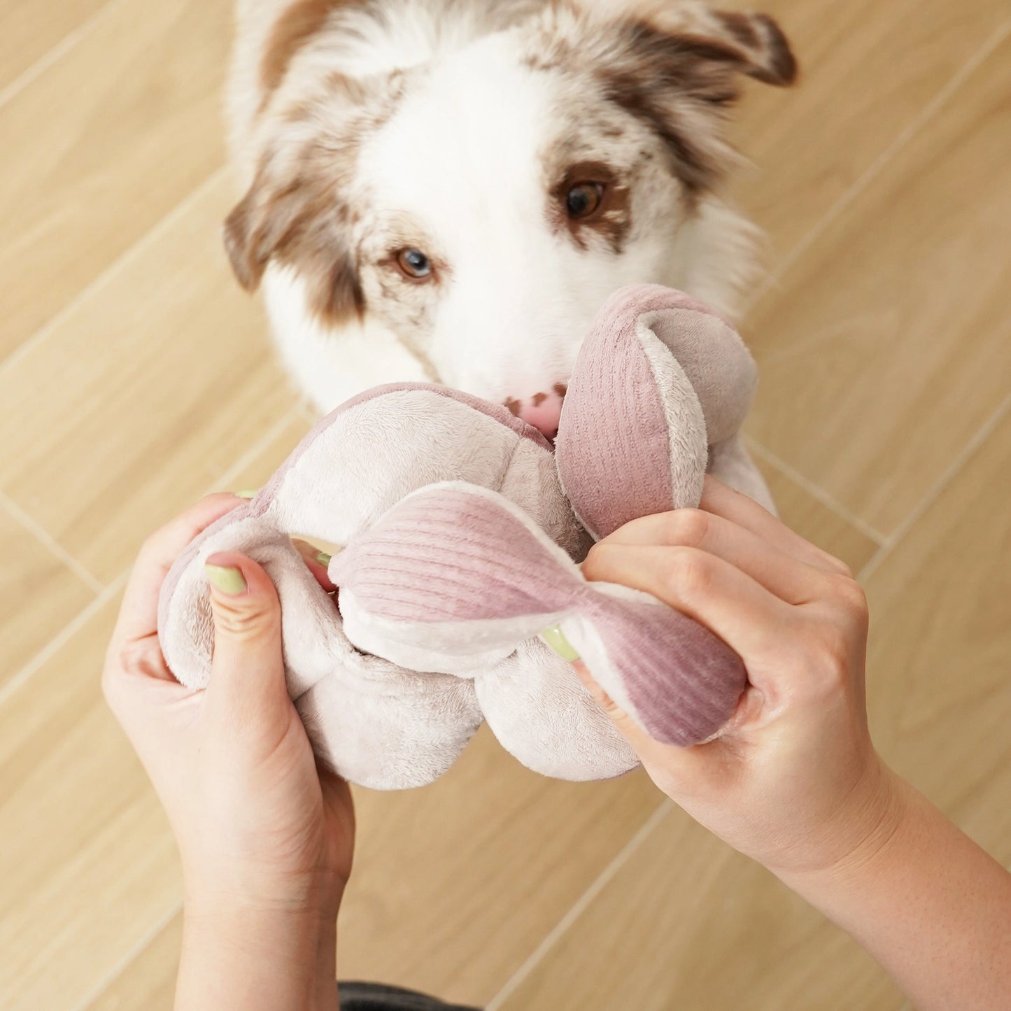 Silent Monti Enrichment Toy | Purple