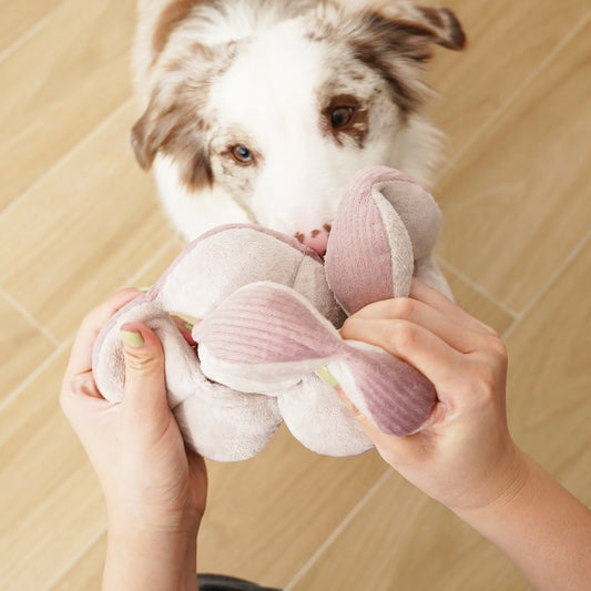 Silent Monti Enrichment Toy