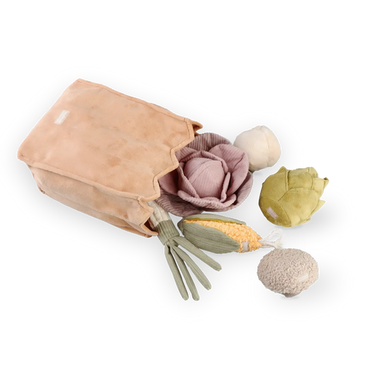 Farmer’s Market Enrichment Toy