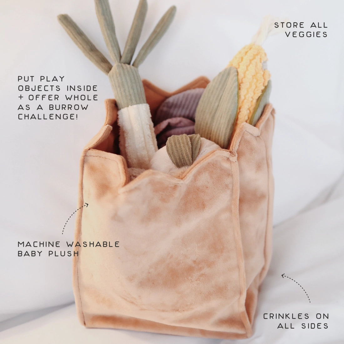Farmer’s Market Enrichment Toy