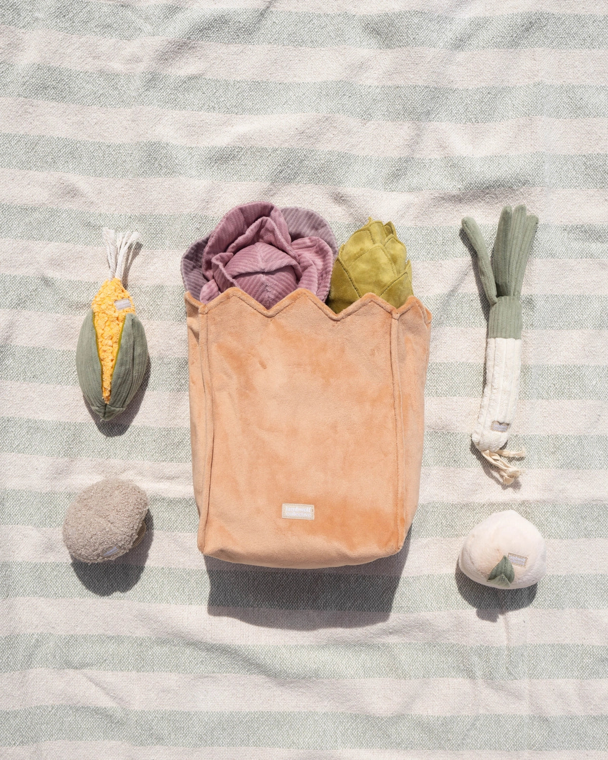 Farmer’s Market Enrichment Toy