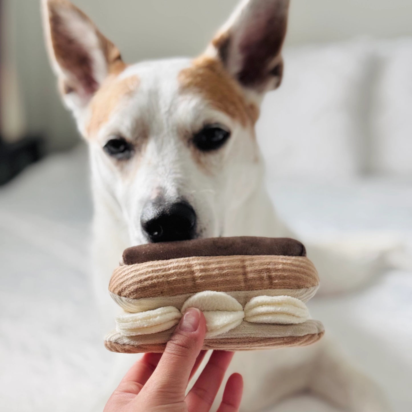 Eclair Enrichment Toy