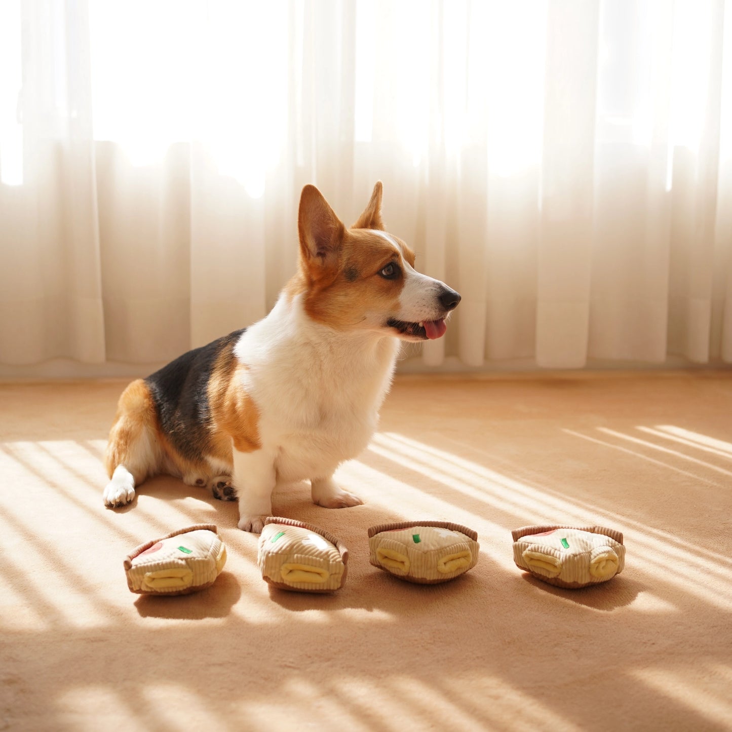 Pizza Enrichment Toy