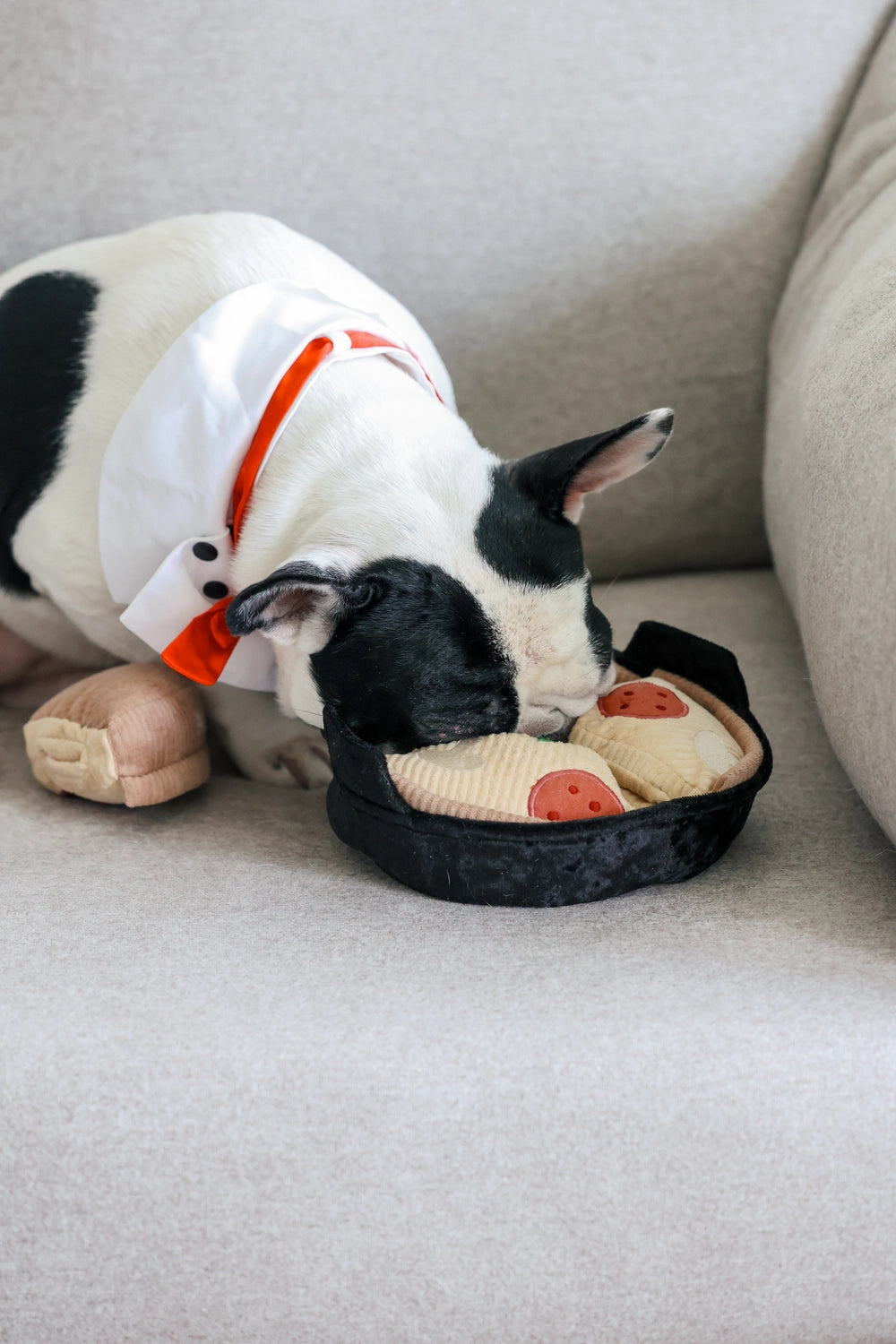 Pizza Enrichment Toy