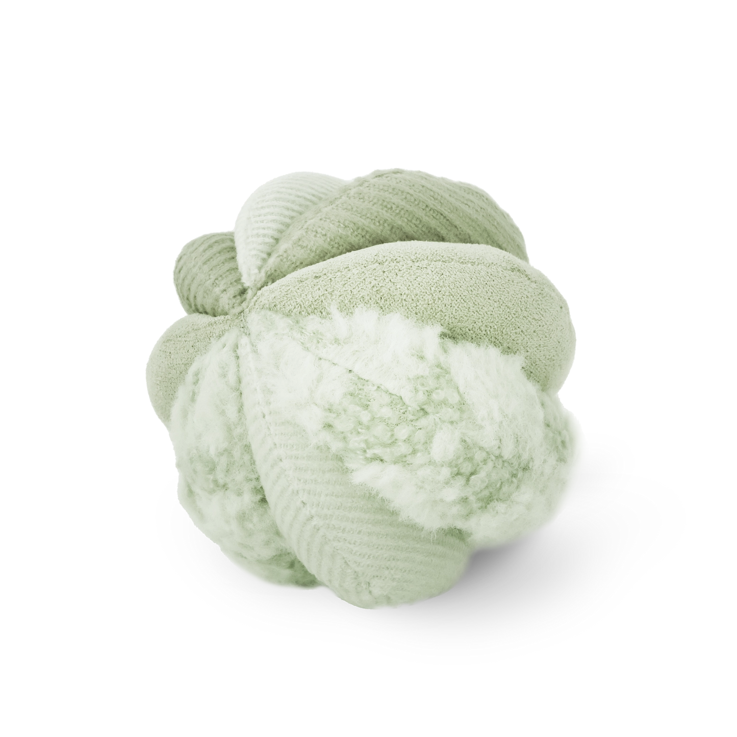 Silent Toto Enrichment Toy | Green