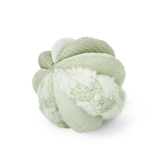Silent Toto Enrichment Toy | Green