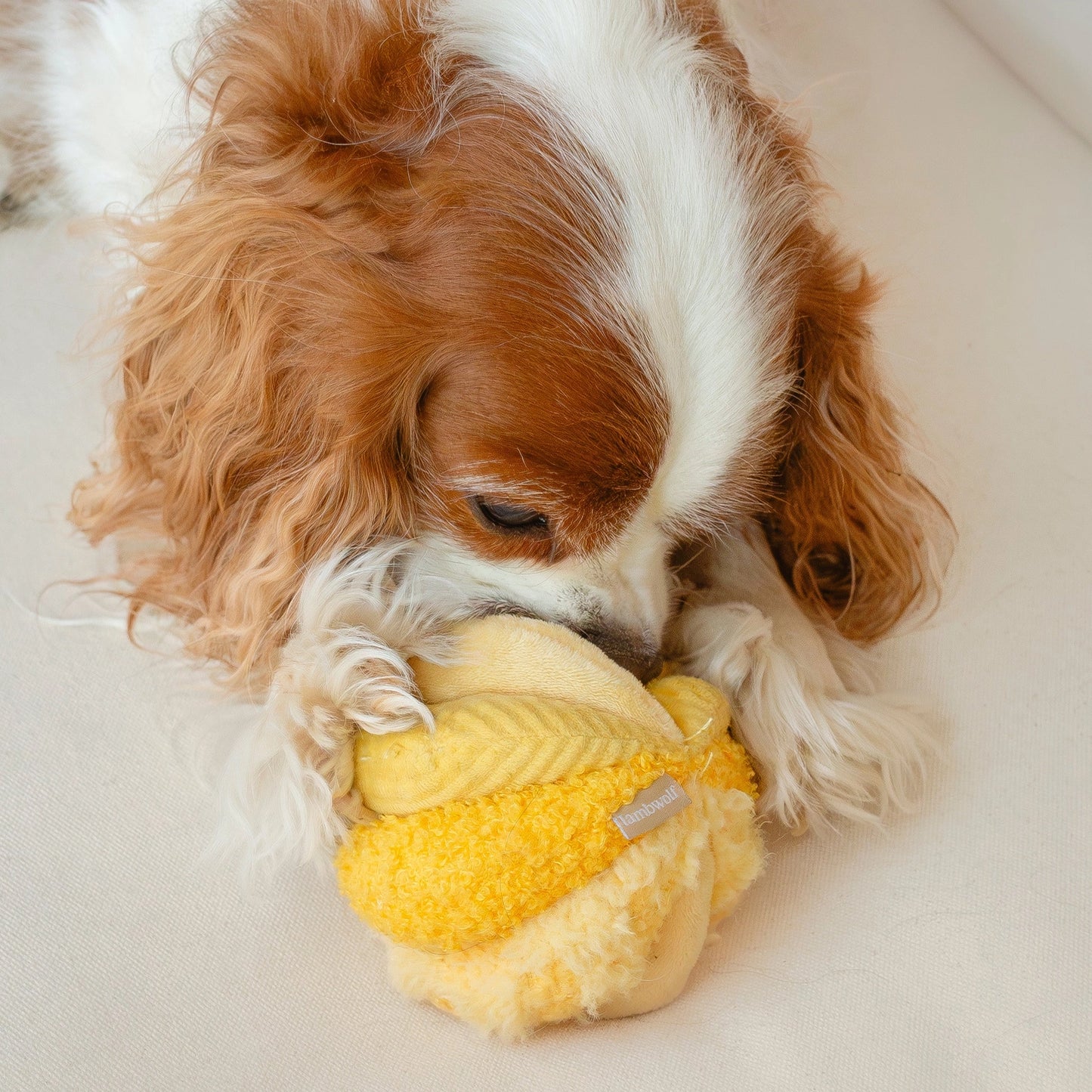 Silent Toto Enrichment Toy | Yellow