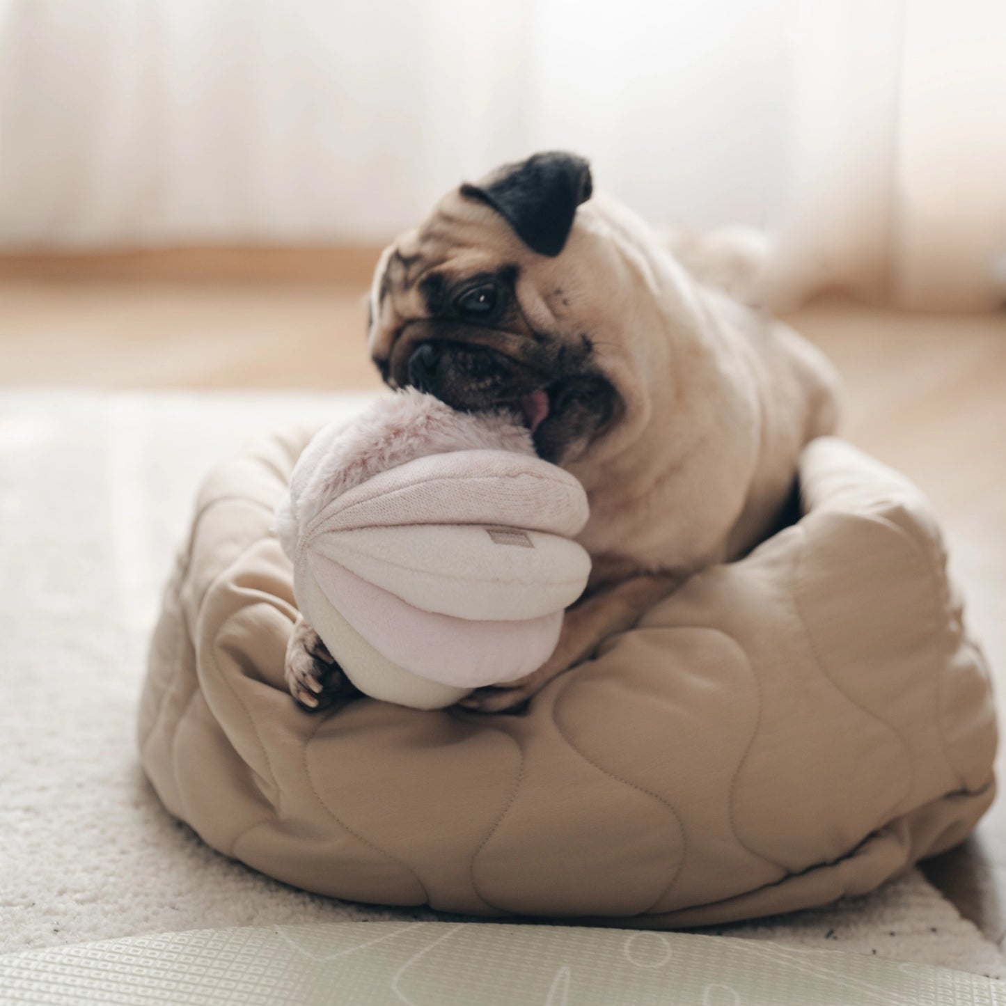 Toto Enrichment Toy | Pink
