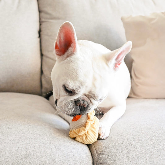 Dim Sum Enrichment Toy