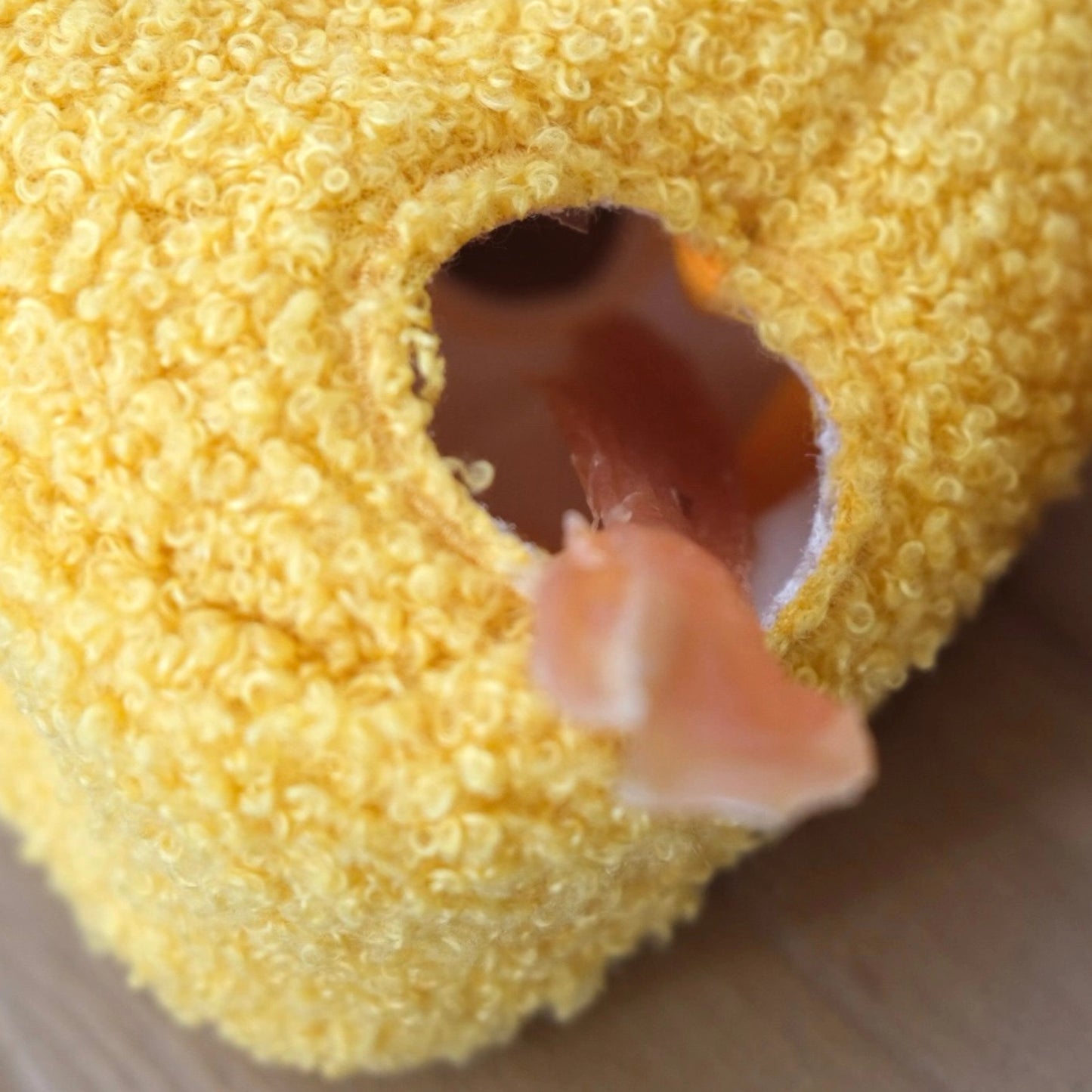 Cheese Enrichment Toy